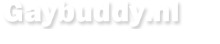 zonadeligues.com