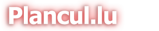 zonadeligues.com